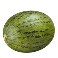Melón