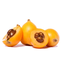 Níspero