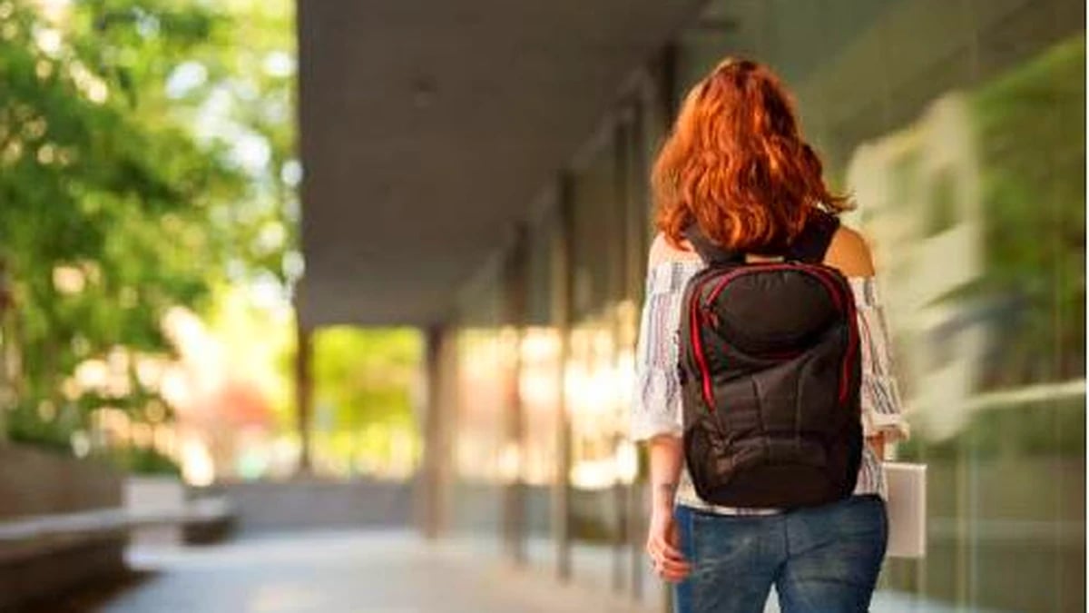 AGAPA se compromete socialmente con la inserción laboral de jóvenes estudiantes de Formación Profesional y Universitaria mediante la realización de convenios de formación