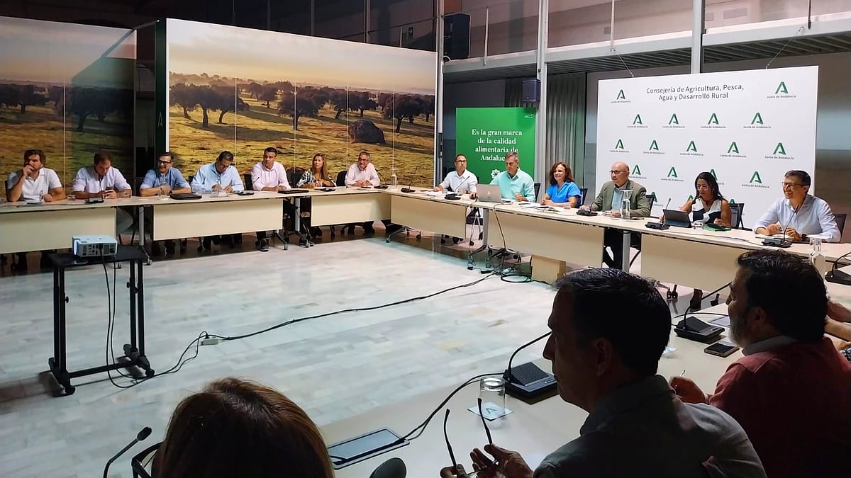 Andalucía prevé una producción de más de 135.700 toneladas de algodón en la próxima campaña