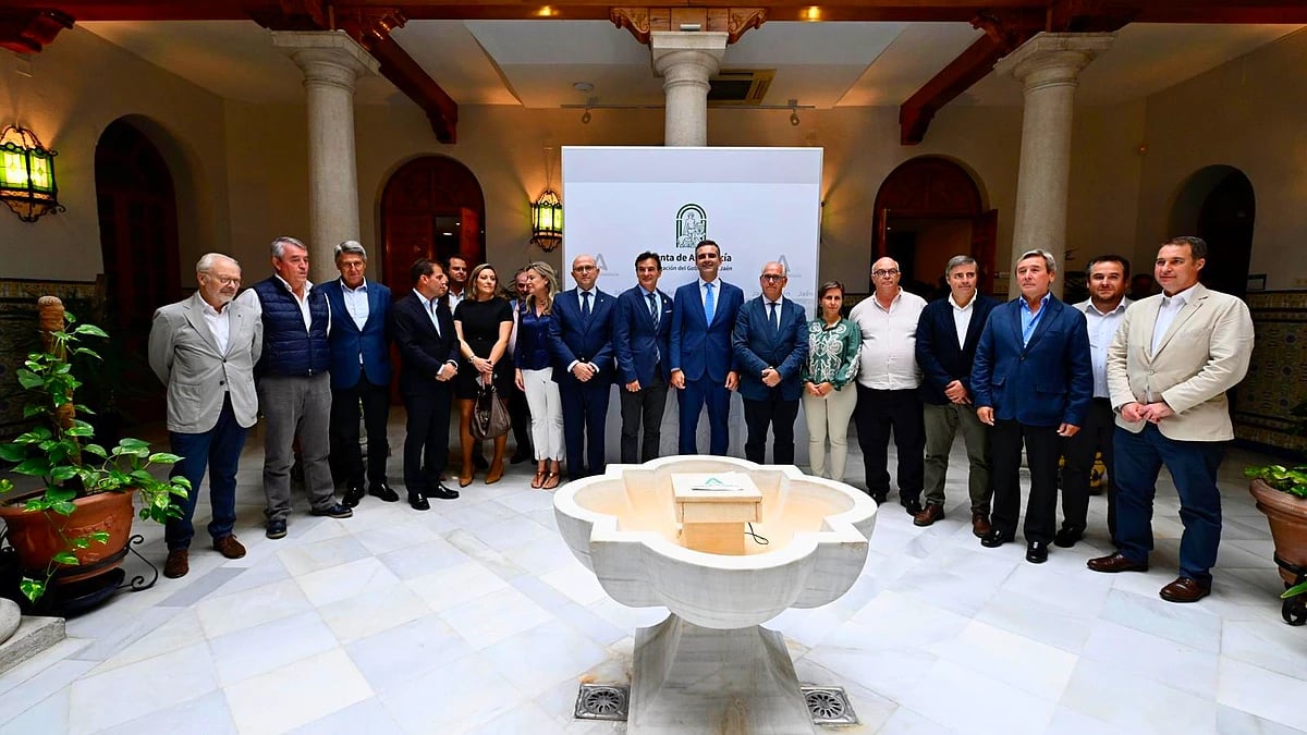 Andalucía prevé una producción de más de 1M de toneladas de aceite de oliva en la próxima campaña