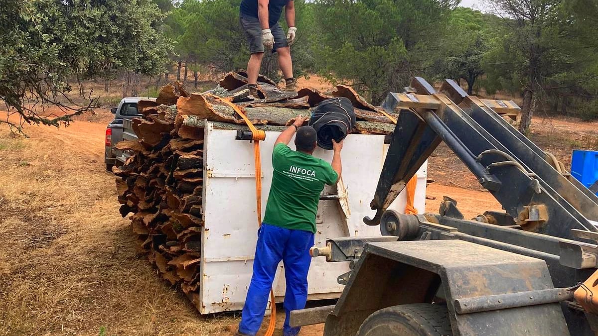 Aprovechamiento de corcho en montes públicos de Córdoba