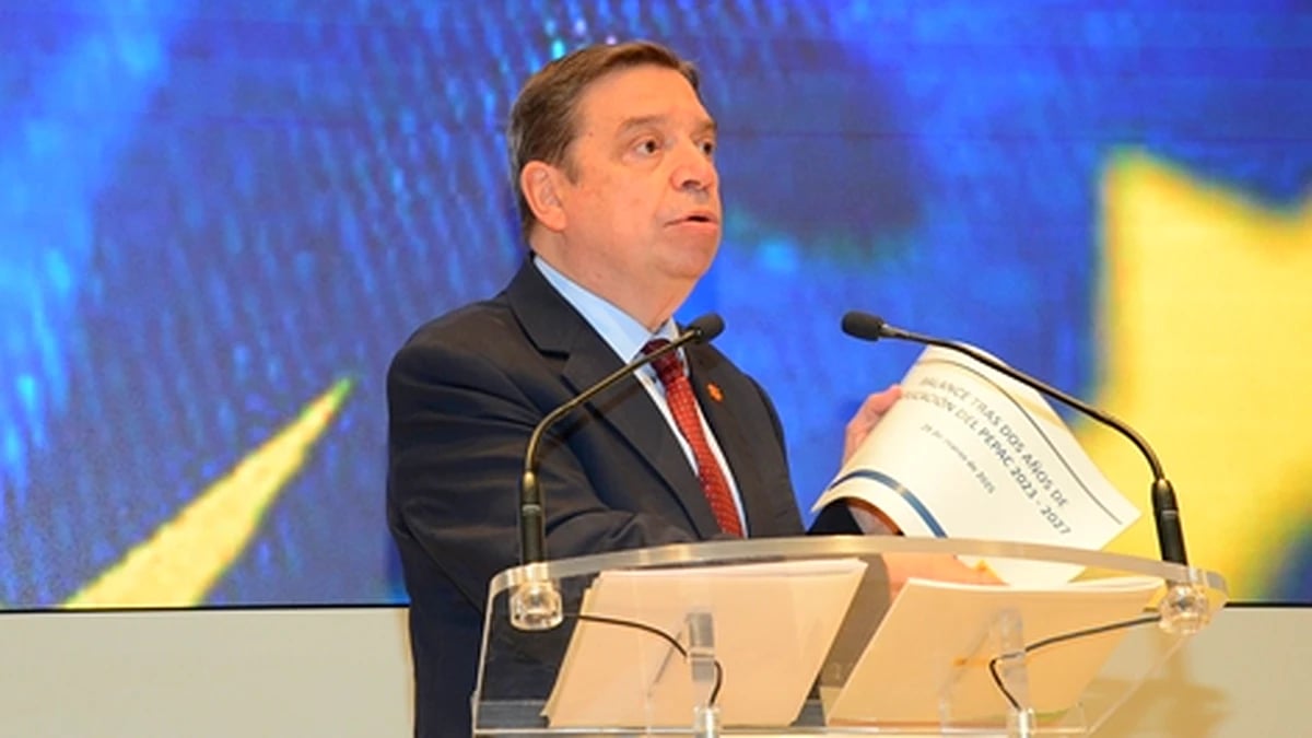 Balance de aplicación del segundo año del Plan Estratégico de la PAC