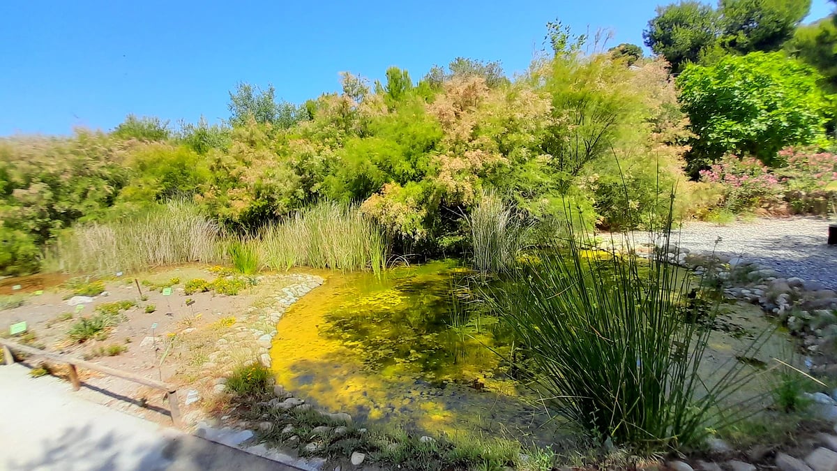 El Jardín Botánico Detunda-Cueva de Nerja, un jardín lleno de vida