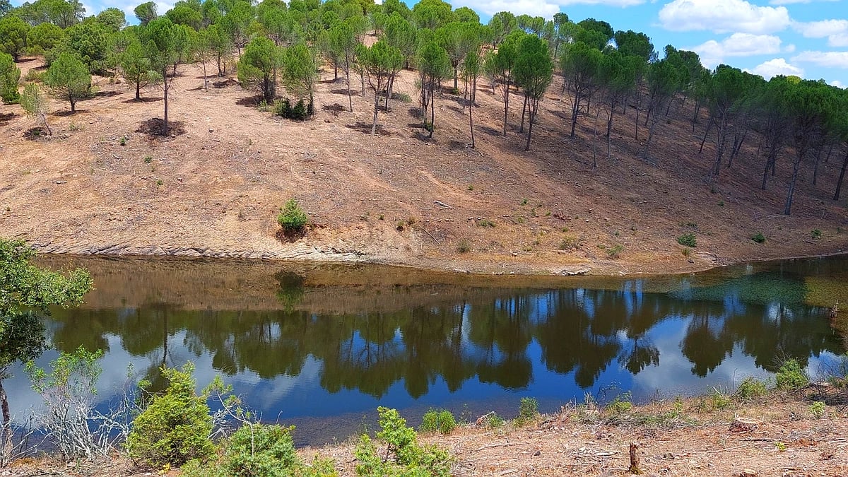 El Plan de Gestión Integral de Sierra Morena colabora en la prevención de incendios forestales