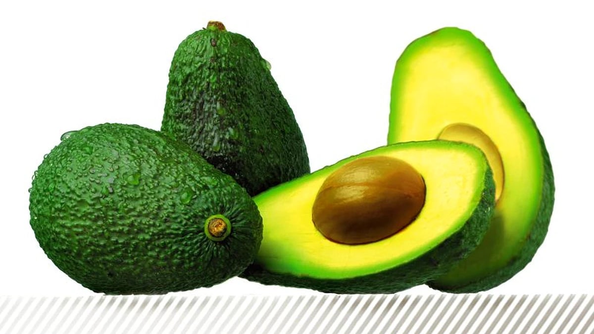 El valor de las exportaciones de aguacate aumenta un 9,8% hasta mayo y supera los 185 M€