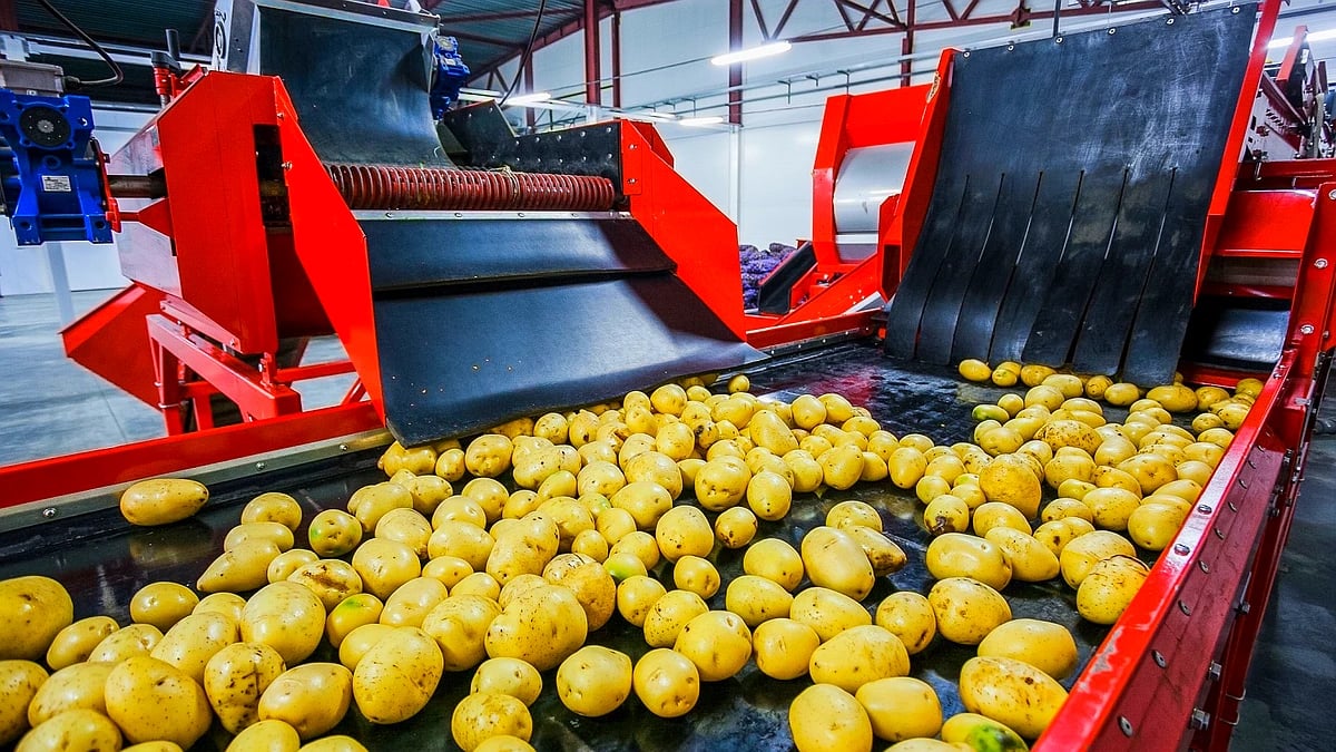 El valor de las exportaciones hortofrutícolas a EEUU crece casi un 34% en el primer trimestre de 2024