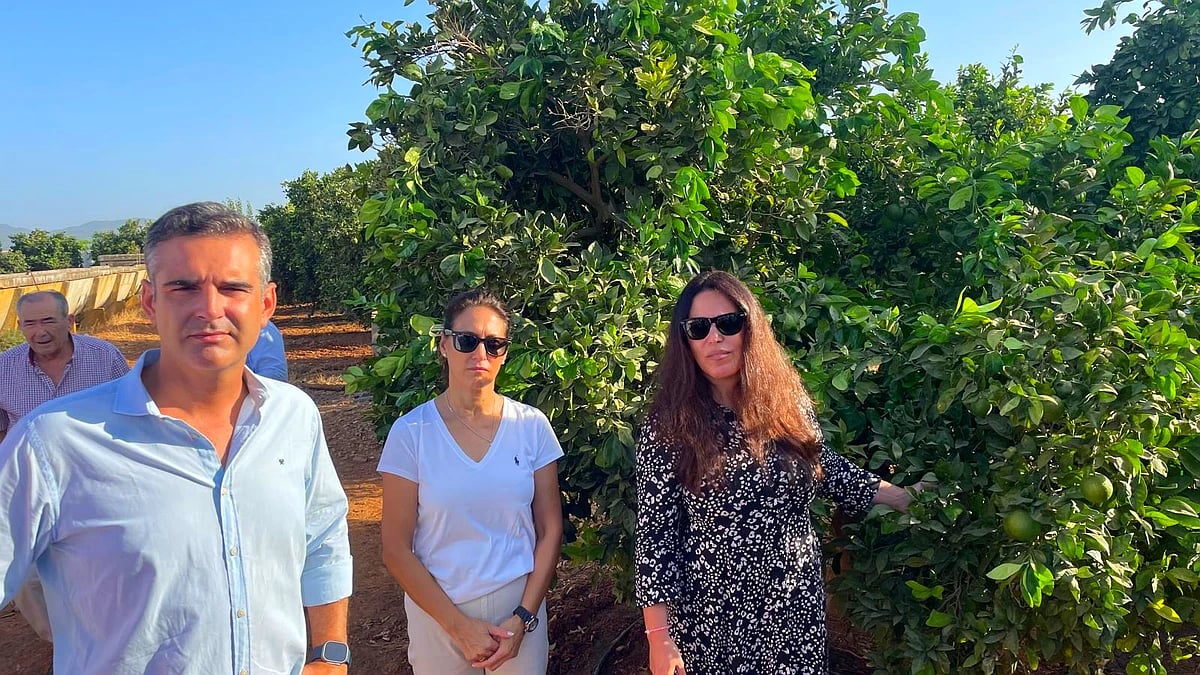 Fernández-Pacheco subraya el compromiso de la Junta con jóvenes y mujeres del sector agrario