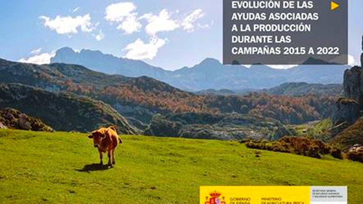 Informe sobre ayudas asociadas a la producción