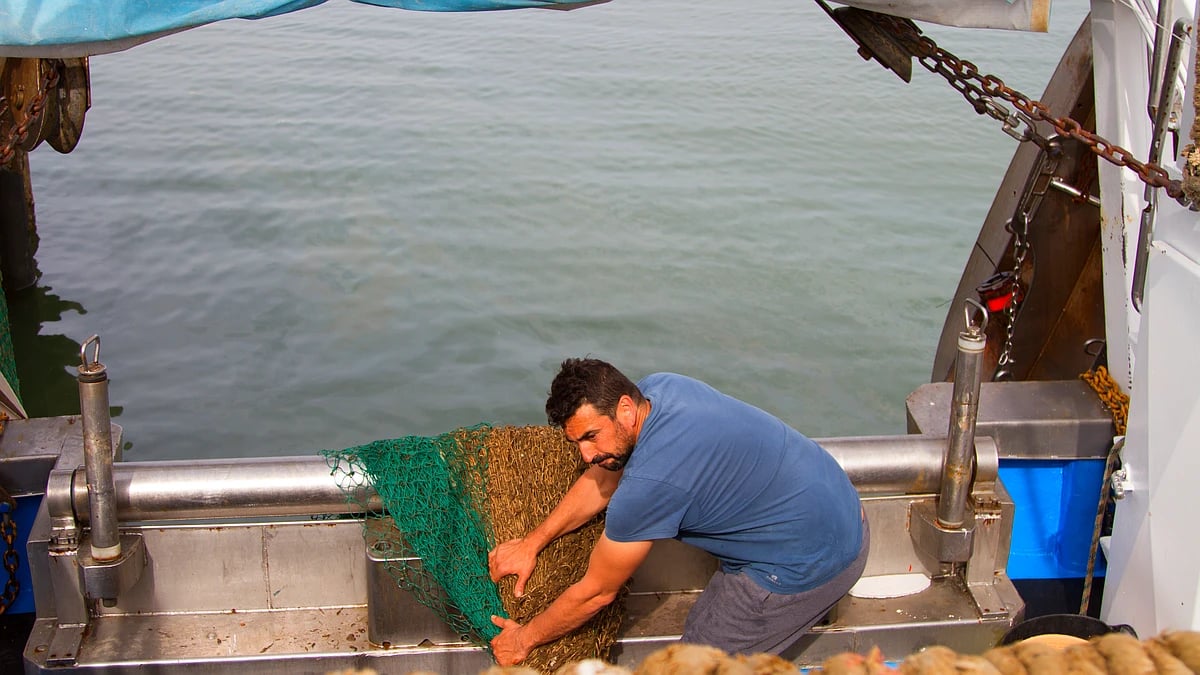 La CE aprueba el Plan de Gestión para la pesca artesanal de la draga en el litoral mediterráneo