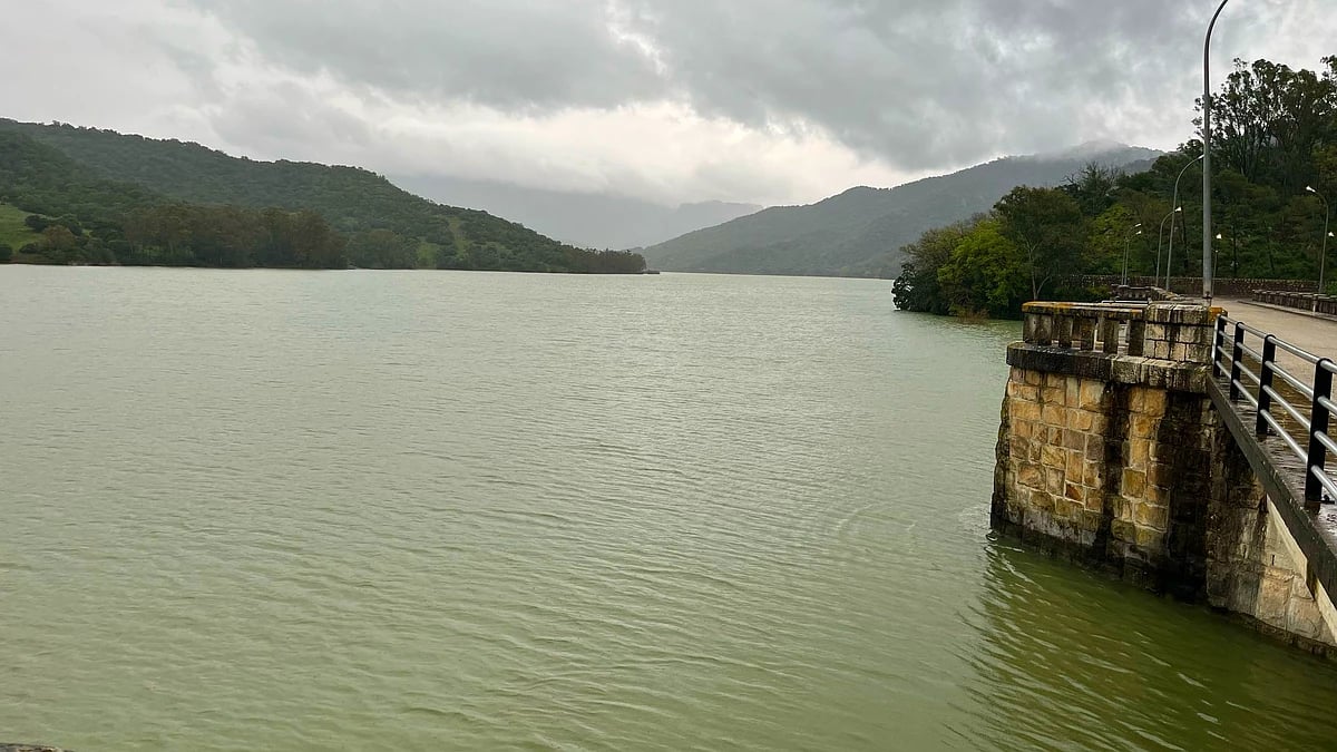 La Comisión de Sequía en Guadalete-Barbate mejora las dotaciones para el riego agrícola