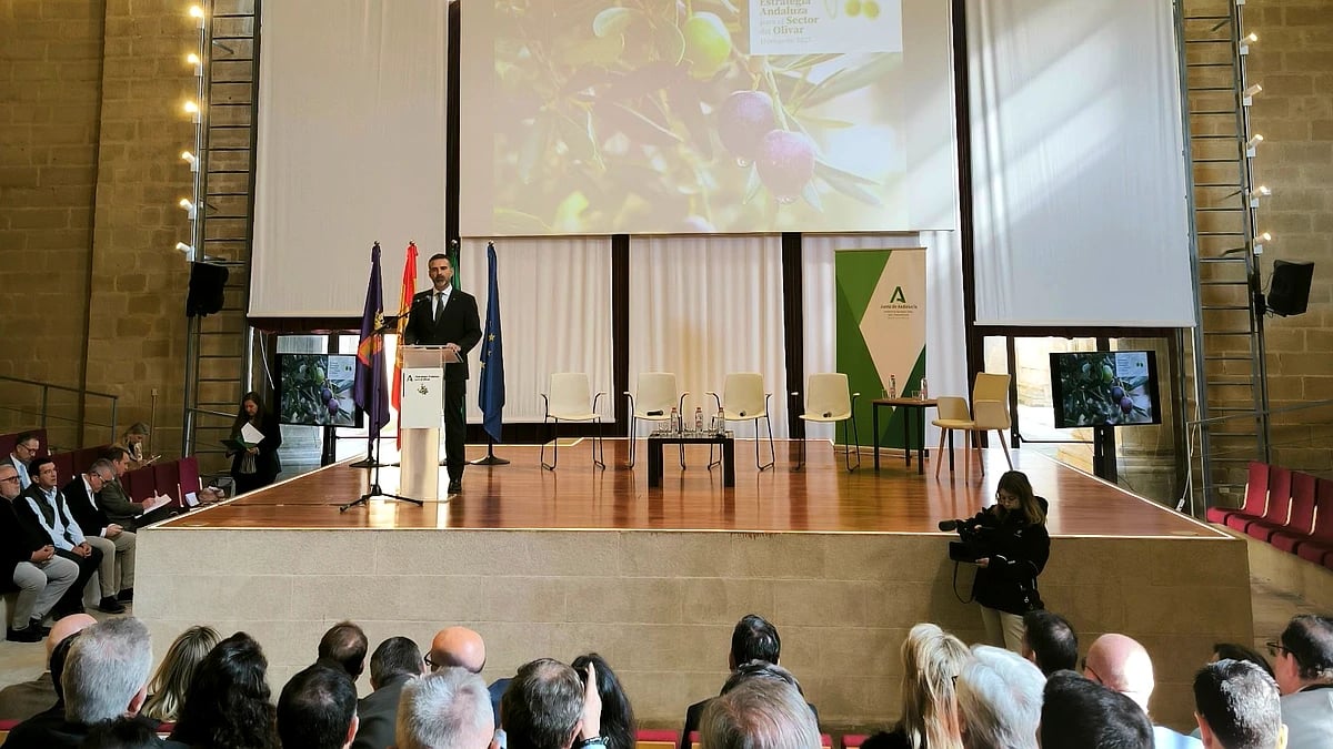 La I Estrategia Andaluza del Olivar apuesta por mejorar la competitividad y la rentabilidad además de consolidar la sostenibilidad del sector