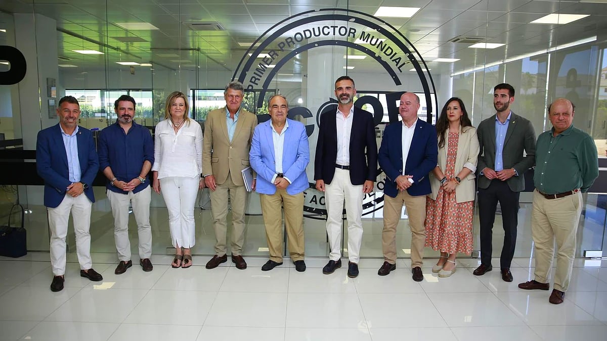 La I Estrategia Andaluza para el Sector del Olivar, un revulsivo para mejorar la competitividad y reforzar el liderazgo