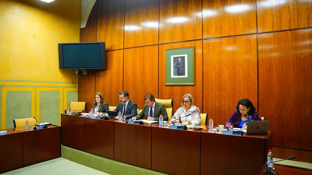 La Junta aboga por asegurar con el Ministerio de Agricultura que las ayudas por la DANA al sector agrario sean compatibles y complementarias