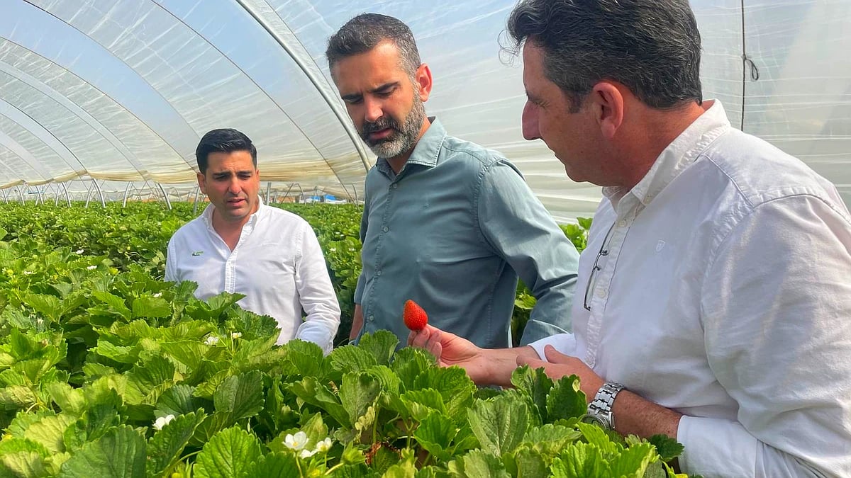 La Junta amplía de nuevo la cuantía de las ayudas agroambientales para llegar a más solicitantes