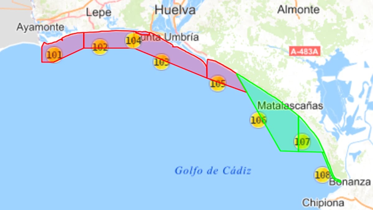 La Junta cierra el marisqueo de coquina y longueirón en varias zonas del litoral de Huelva para garantizar la seguridad alimentaria