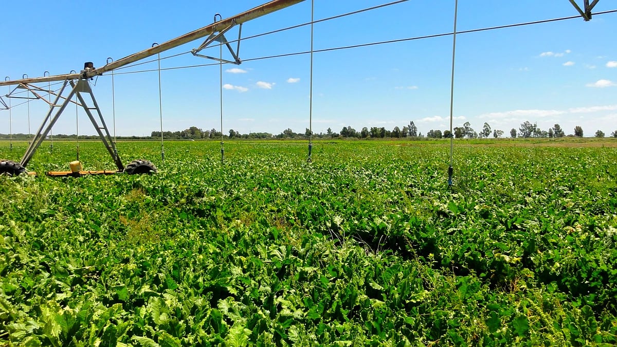 La Junta concede ayudas por 19,8 M€ para la modernización de explotaciones agrarias