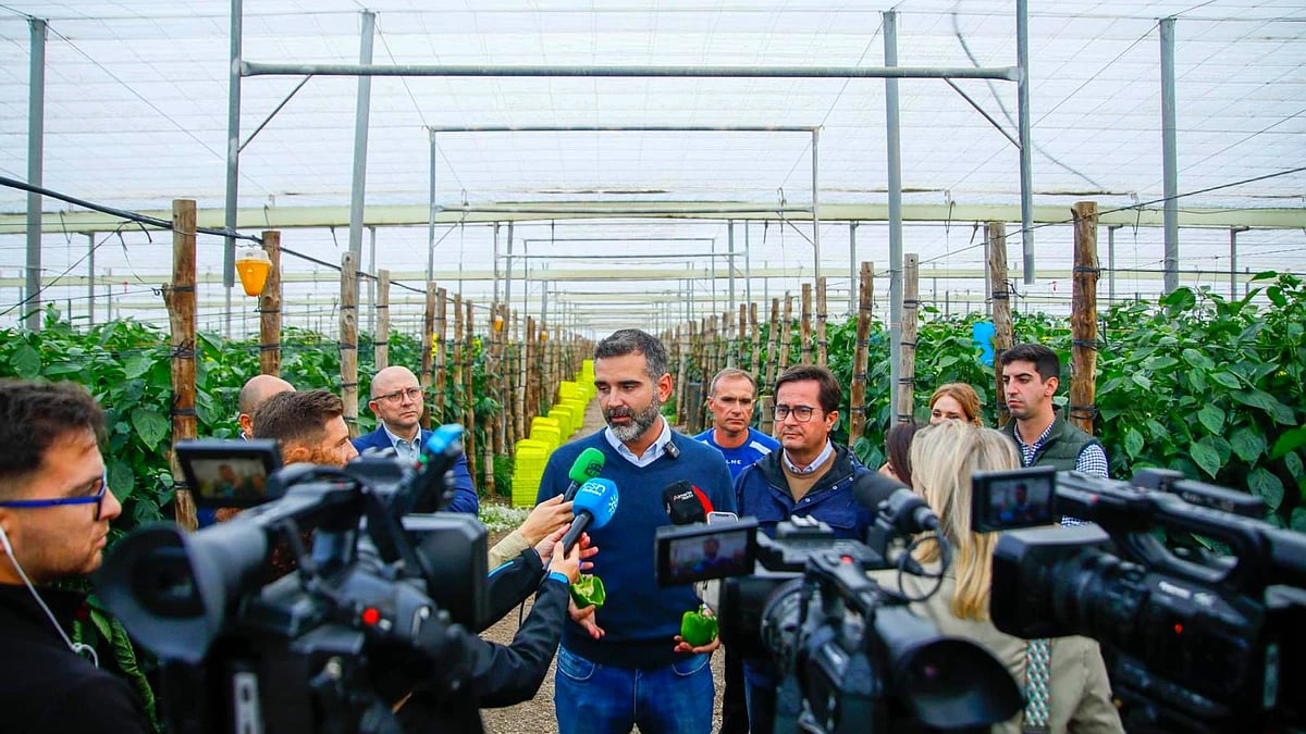 La Junta estima 4.200 hectáreas de invernaderos afectadas por la DANA solo en El Ejido y Dalías