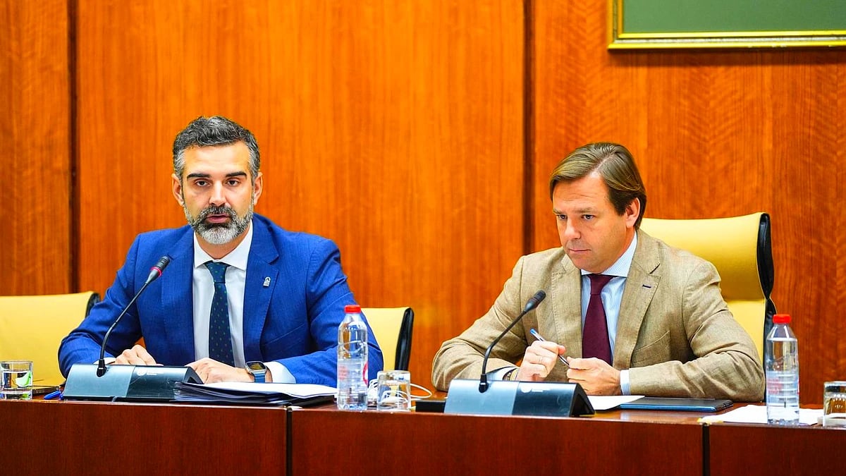 La Junta indemnizará la destrucción de cultivos de aguacate afectados por el escarabajo de la ambrosía