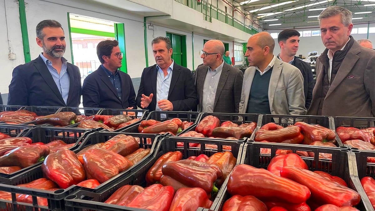 La Junta y comercializadores hortofrutícolas de Almería y Granada refuerzan su alianza por el futuro del sector