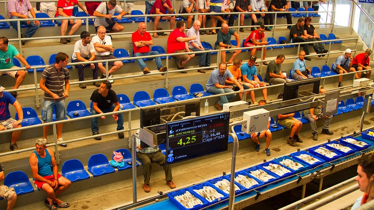 Las ventas de productos pesqueros de Andalucía rozan los 105 M€ entre enero y mayo de 2024
