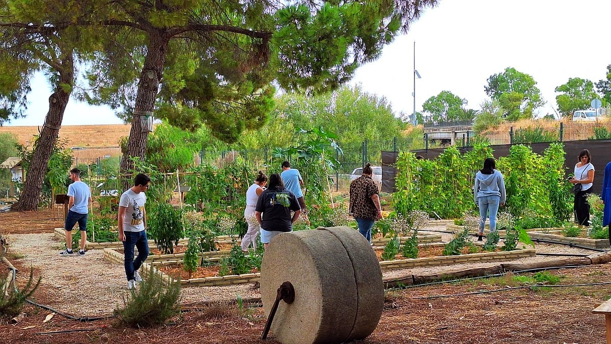 Más de 800 andaluces han participado en las jornadas ‘Tu huerto, tu salud, tu planeta’