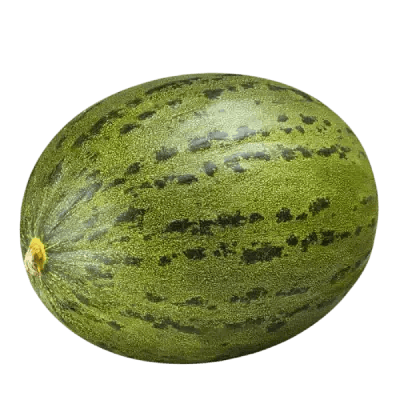Melón