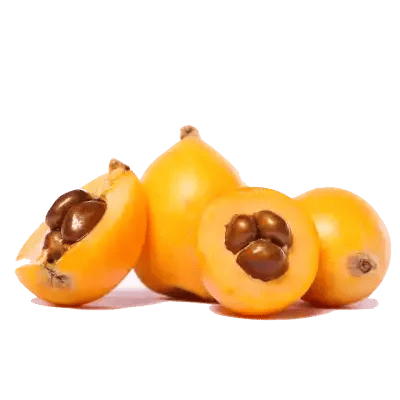 Níspero