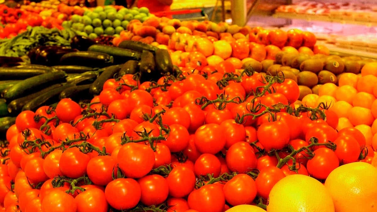 Nueva normativa sobre el uso de fitosanitarios en la agricultura