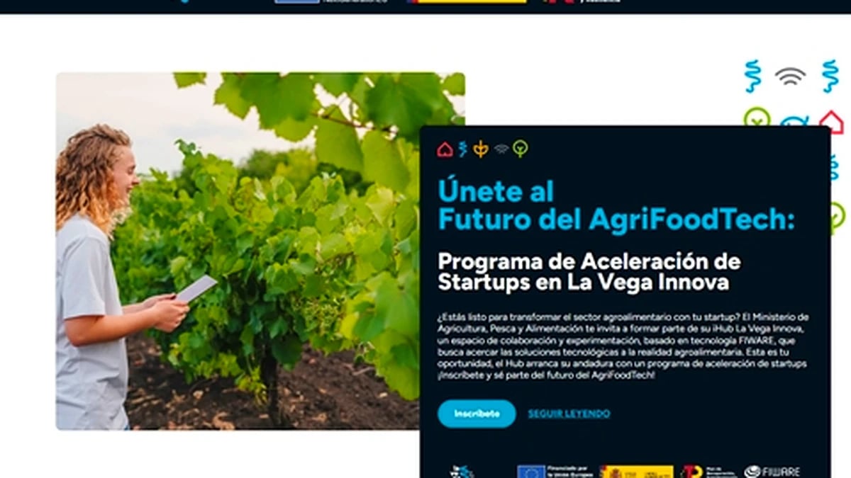 Programa de aceleración de empresas emergentes